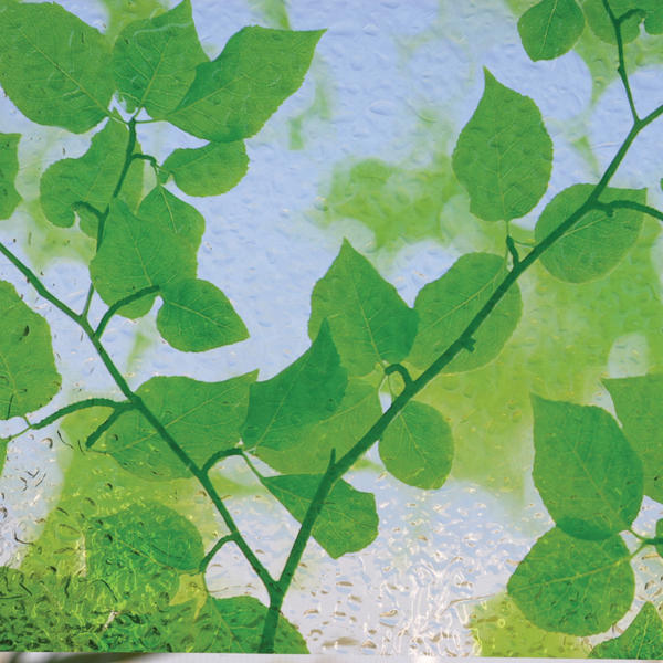 Folie autocolanta electrostatica pentru geam Linea 0.46m x 1m model frunze